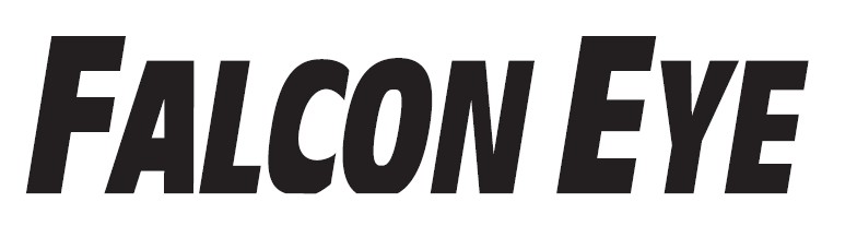 FALCON EYE логотип